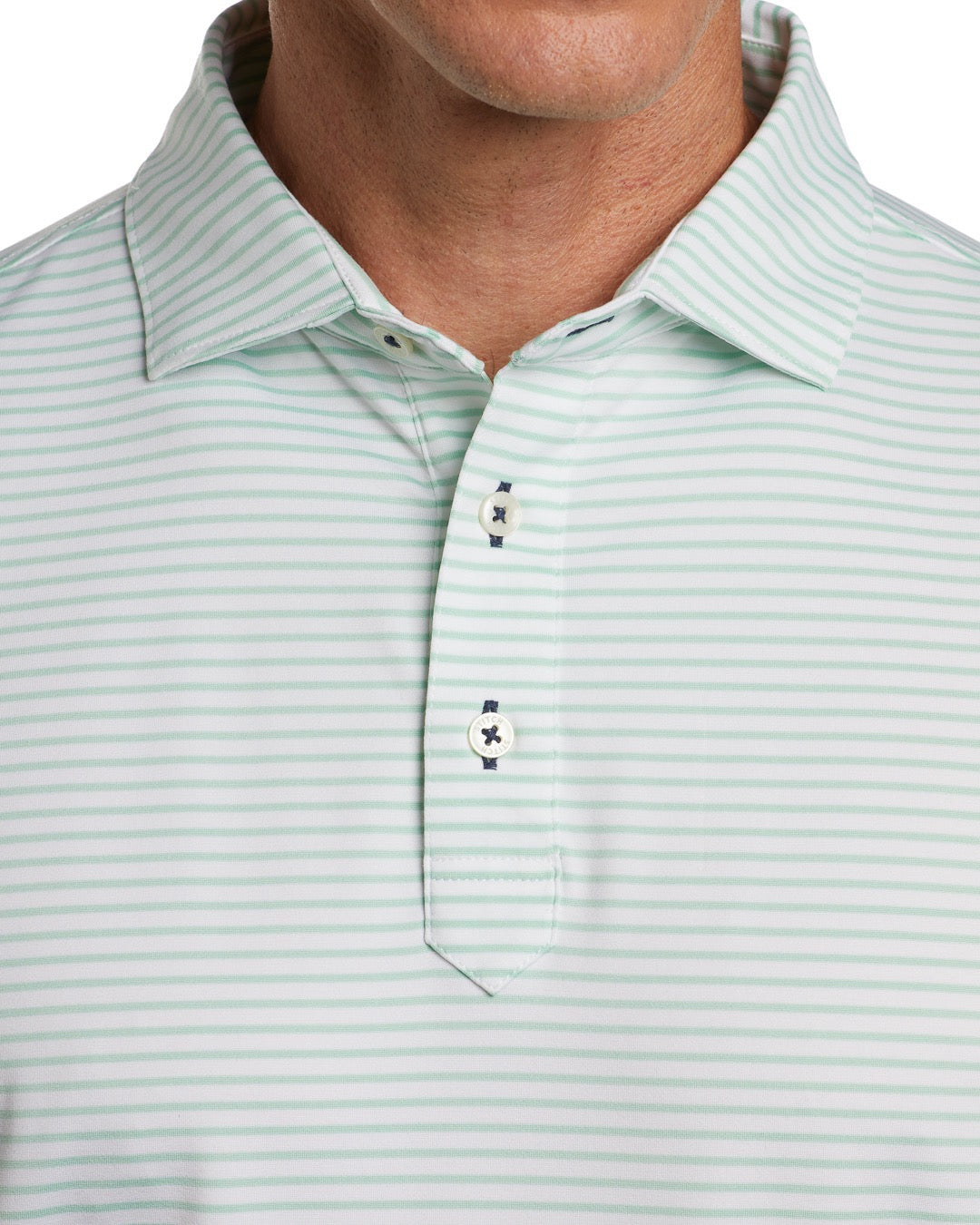 Congress Stripe
