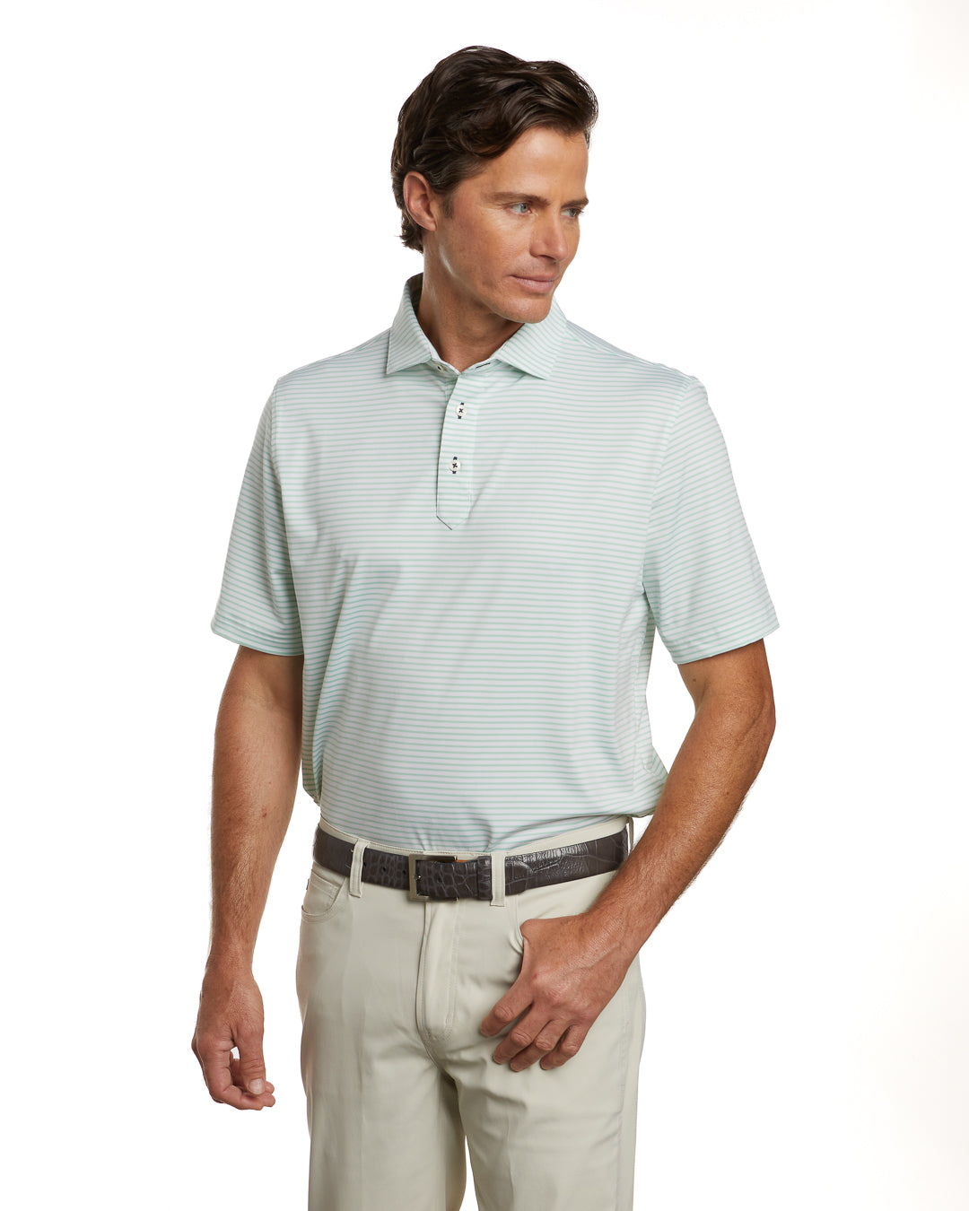 Congress Stripe
